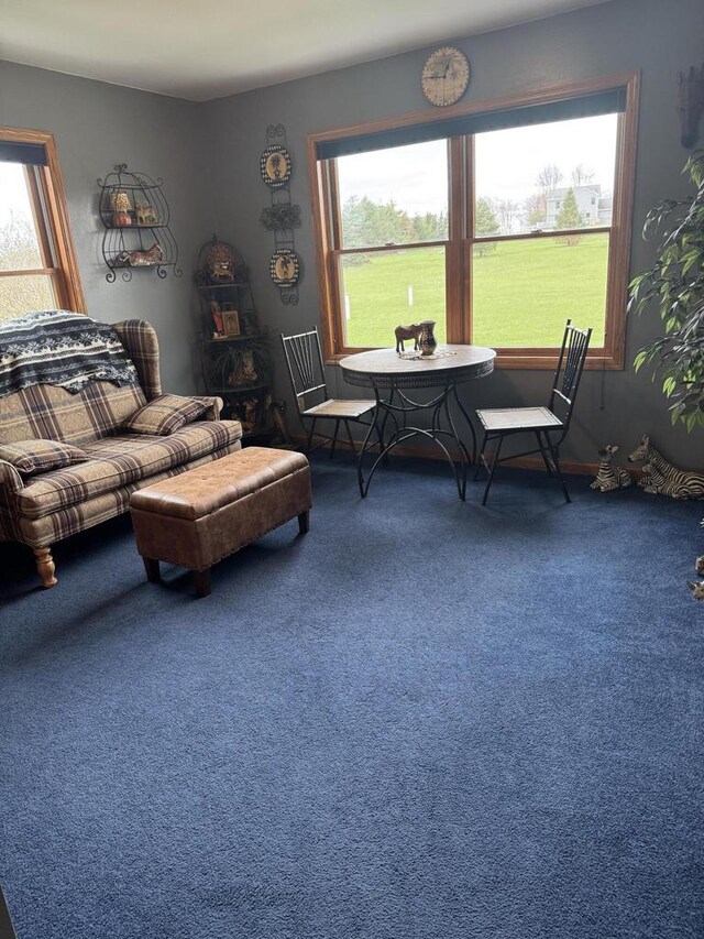 W360S10139 Markham Rd, Eagle, WI 53119 - living room with a wealth of natural light and carpet floors