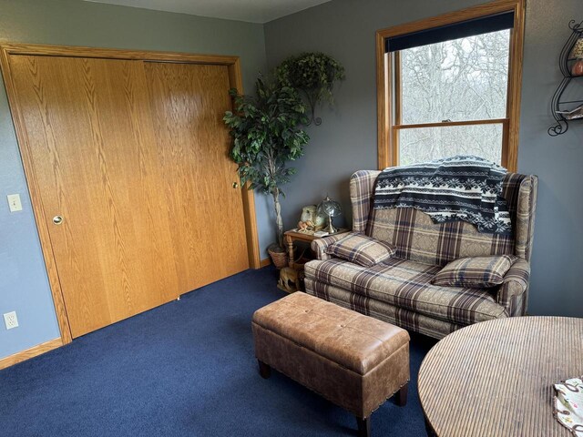 W360S10139 Markham Rd, Eagle, WI 53119 - sitting room with carpet