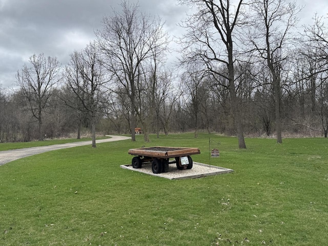 W360S10139 Markham Rd, Eagle, WI 53119 - view of community featuring a lawn