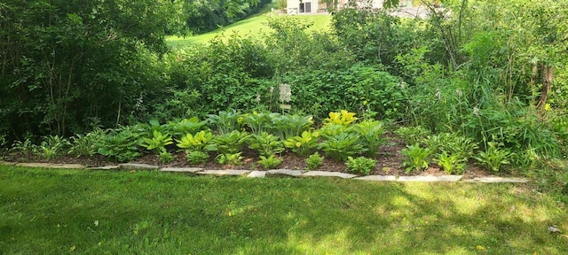W360S10139 Markham Rd, Eagle, WI 53119 - view of yard