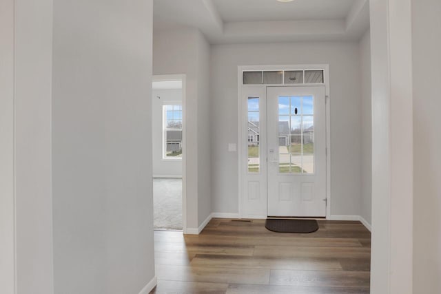 entrance foyer with baseboards, a tray ceiling, and wood finished floors