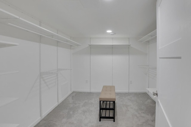spacious closet with carpet flooring