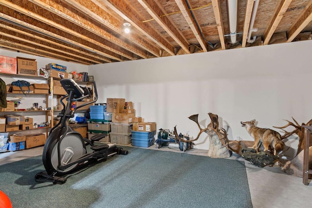 905 Plymouth Ct, Nekoosa, WI 54457 - view of exercise room