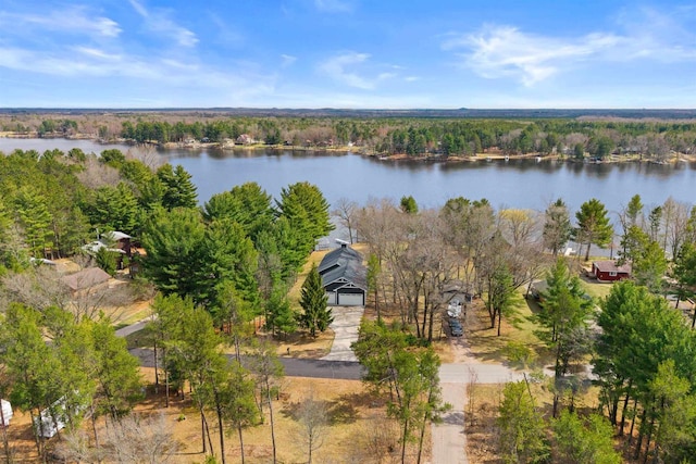 905 Plymouth Ct, Nekoosa, WI 54457 - drone / aerial view with a forest view and a water view