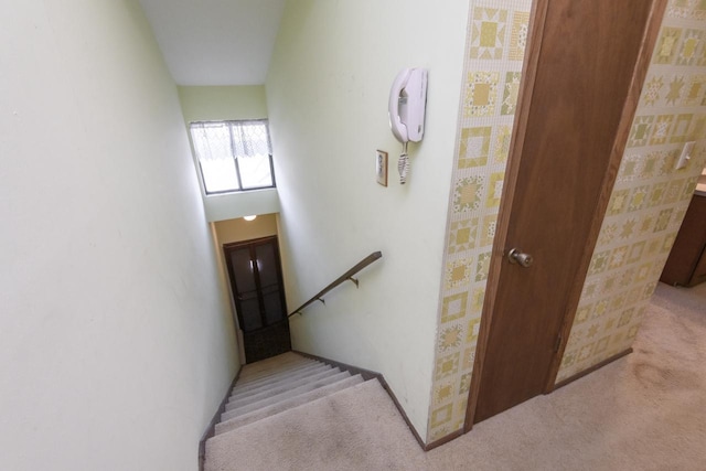stairs with carpet floors