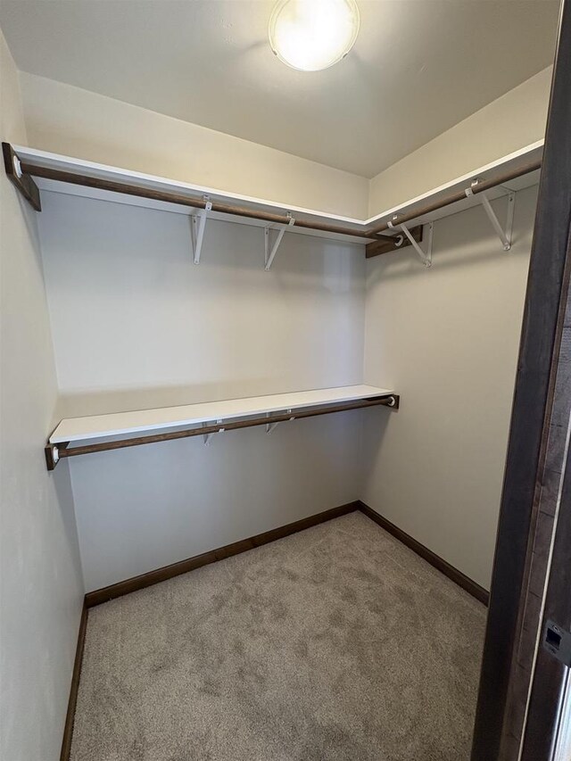 1354 Shelby Ln, De Pere, WI 54115 - spacious closet with carpet flooring