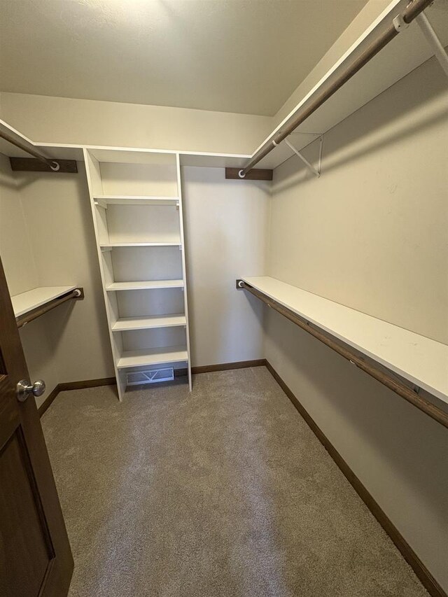 1354 Shelby Ln, De Pere, WI 54115 - spacious closet with carpet flooring