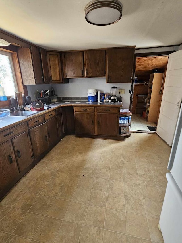 kitchen with dark brown cabinets and a sink