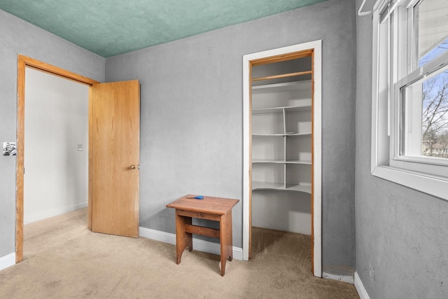 interior space featuring baseboards, carpet floors, and a closet