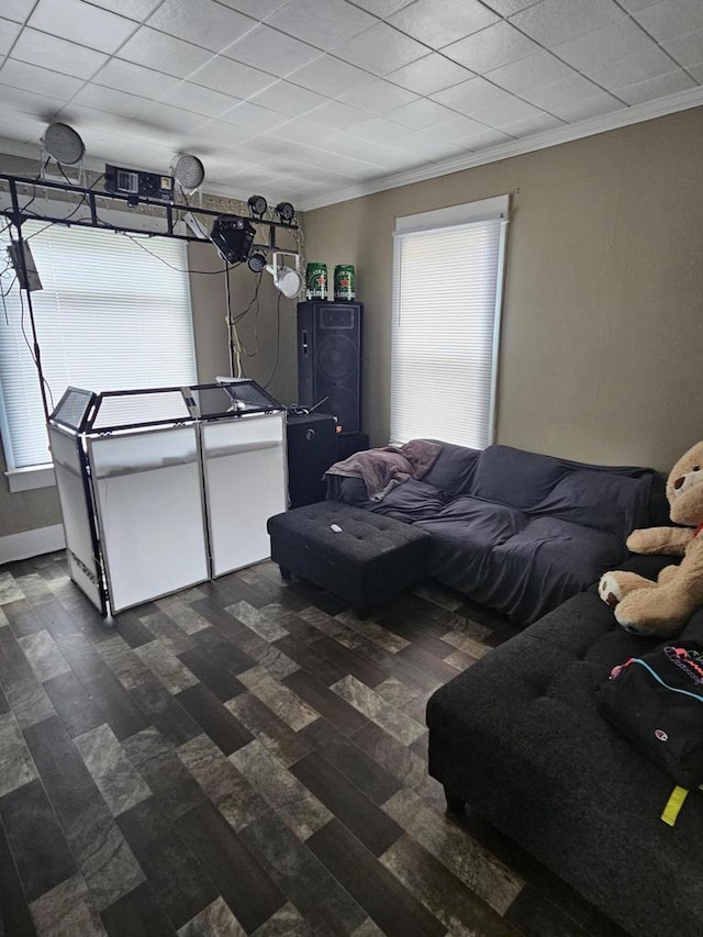 bedroom featuring dark wood-type flooring and crown molding