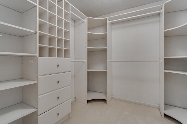 spacious closet with carpet