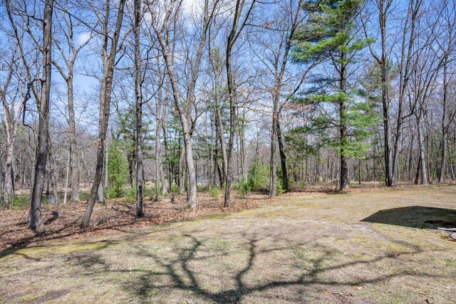 W3760 W Lemonweir Ct, Mauston, WI 53948 - view of yard with a forest view