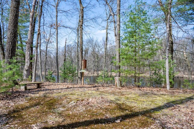 W3760 W Lemonweir Ct, Mauston, WI 53948 - view of yard