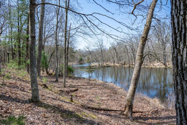 W3760 W Lemonweir Ct, Mauston, WI 53948 - water view with a wooded view