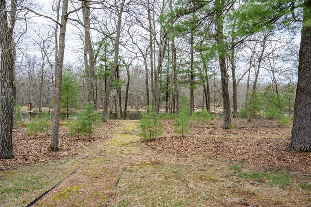W3760 W Lemonweir Ct, Mauston, WI 53948 - exterior space featuring a forest view