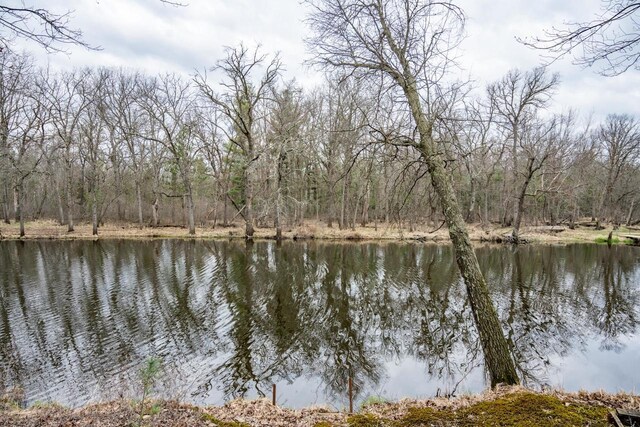 W3760 W Lemonweir Ct, Mauston, WI 53948 - water view