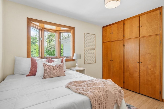 5308 Mckenna Rd, Monona, WI 53716 - bedroom featuring a closet and light wood-style floors