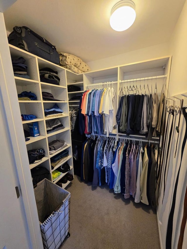 walk in closet featuring carpet flooring