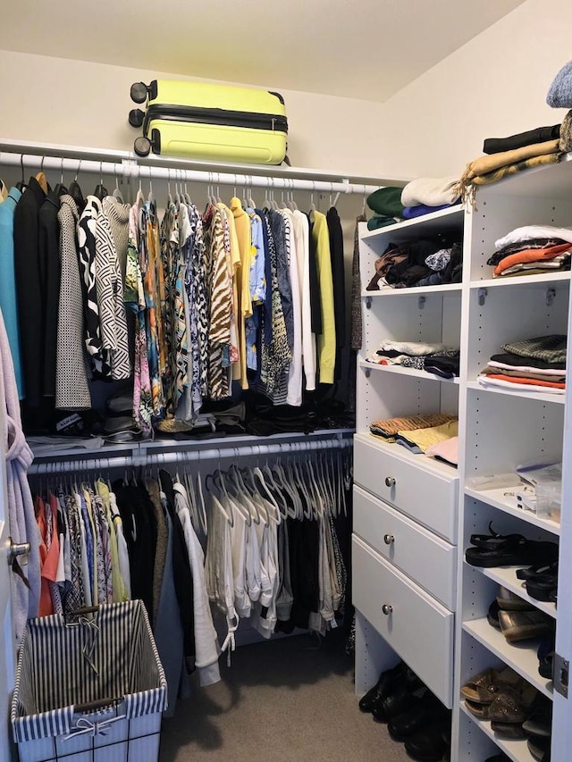 view of spacious closet