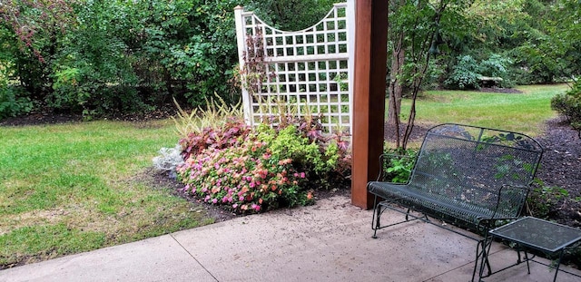 view of yard featuring a patio