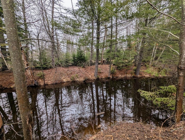 N10555 Solberg Lake Rd E, Phillips, WI 54555