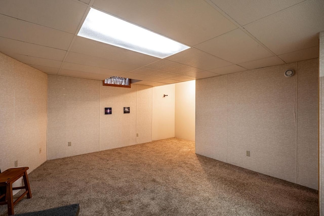 empty room featuring carpet and a drop ceiling