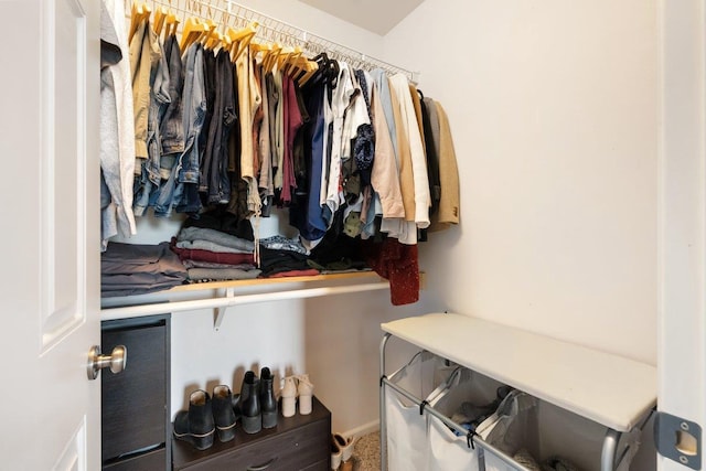 view of spacious closet