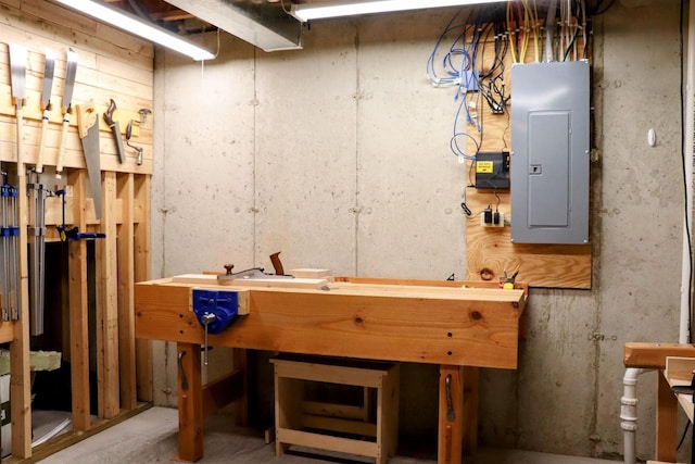 unfinished below grade area featuring electric panel