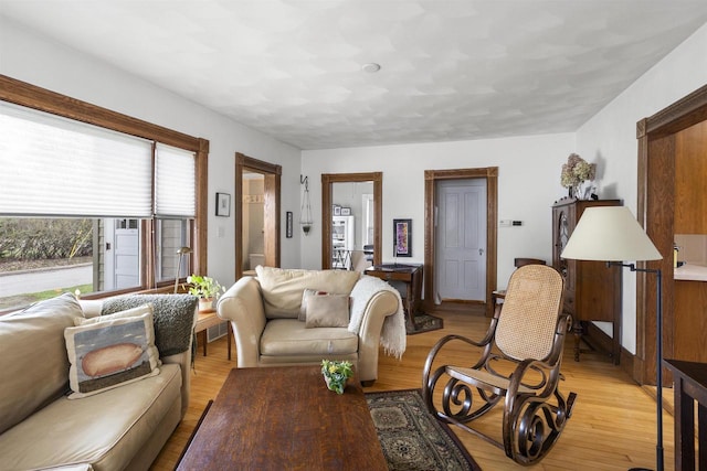526 N Vine St, Appleton, WI 54911 - living room with light wood-style flooring