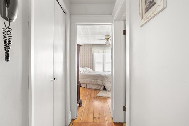 526 N Vine St, Appleton, WI 54911 - hallway featuring light wood-type flooring and wallpapered walls