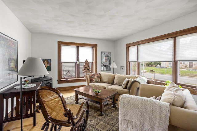 526 N Vine St, Appleton, WI 54911 - living area featuring light wood-style floors
