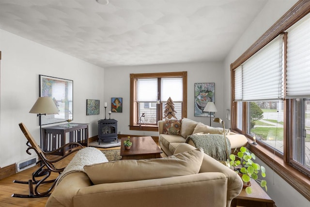 526 N Vine St, Appleton, WI 54911 - living area featuring baseboards, wood finished floors, a wealth of natural light, and a wood stove