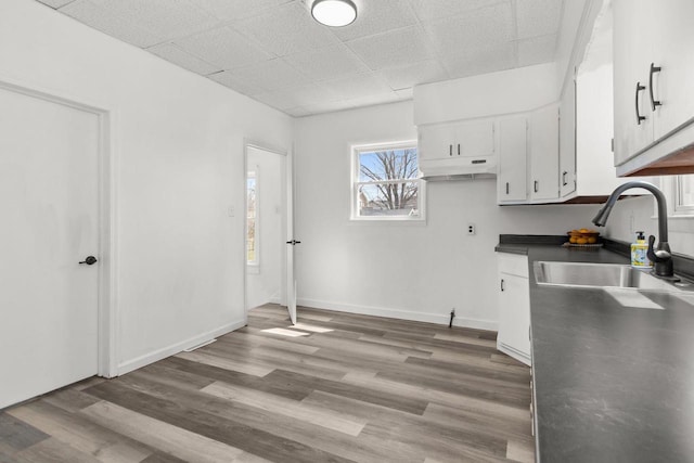 76 E Johnson St, Fond Du Lac, WI 54935 - kitchen featuring dark countertops, a sink, light wood finished floors, white cabinetry, and under cabinet range hood