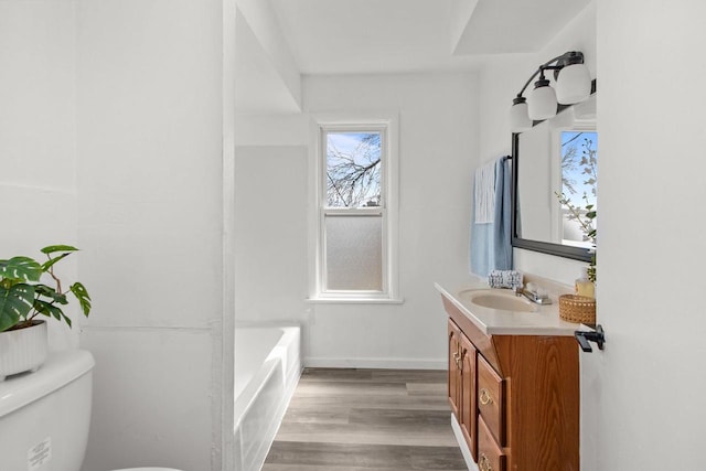 76 E Johnson St, Fond Du Lac, WI 54935 - bathroom featuring toilet, vanity, wood finished floors, and a bathtub