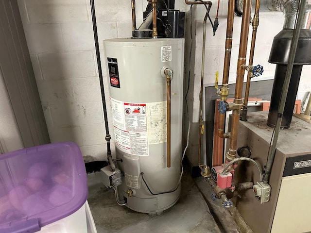 utility room with gas water heater