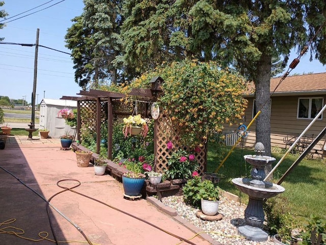 view of yard featuring a patio