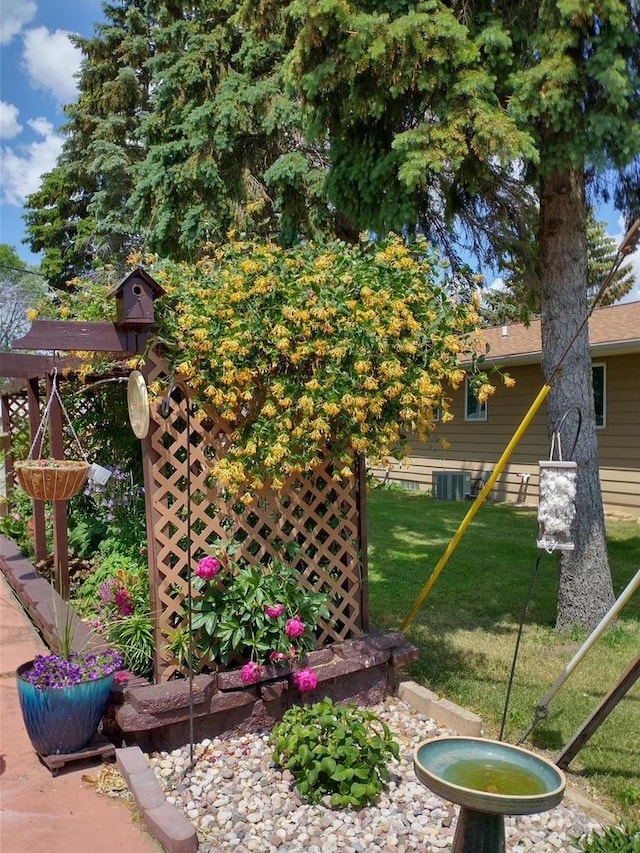 view of yard featuring central AC