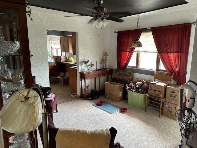 dining space featuring ceiling fan, carpet floors, a healthy amount of sunlight, and a textured wall