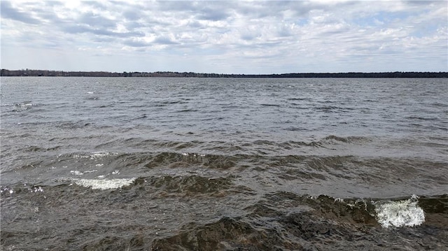 6051 Elsie Rd, Stone Lake, WI 54876 - water view