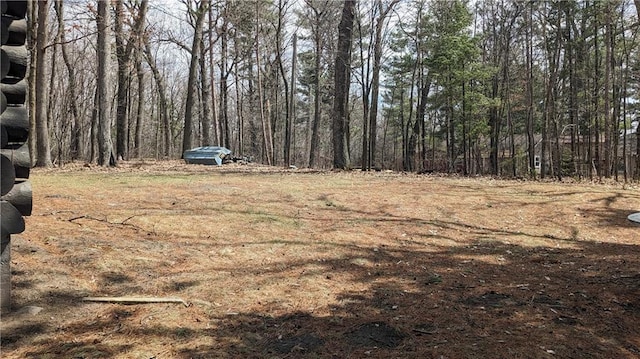 6051 Elsie Rd, Stone Lake, WI 54876 - view of yard