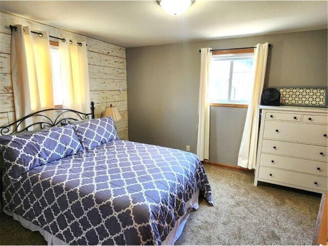 21 N Main St, Luck, WI 54853 - carpeted bedroom featuring wood walls