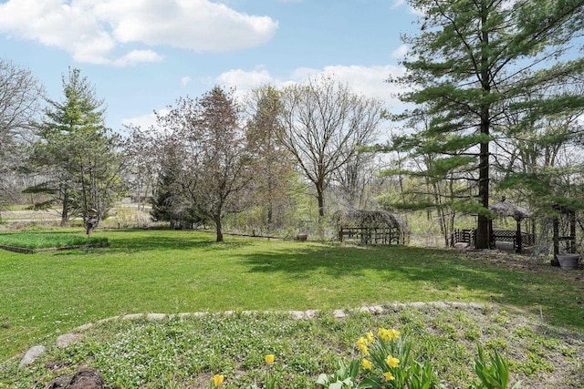 view of yard