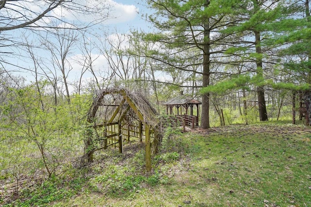 view of yard featuring a wooded view