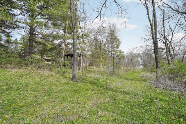 view of local wilderness