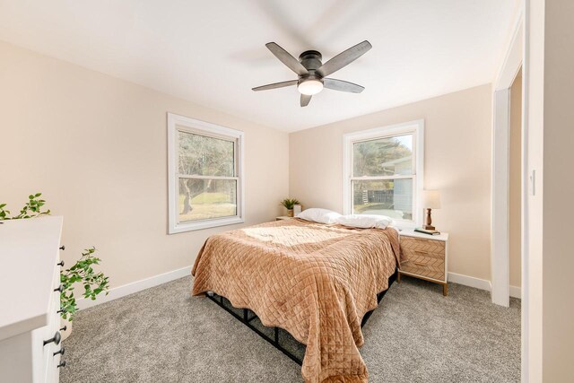 W2252 Spring Lake Rd, Markesan, WI 53946 - bedroom with light carpet, a ceiling fan, baseboards, and multiple windows