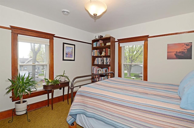 301 Van Buren St, Sauk City, WI 53583 - bedroom featuring baseboards and multiple windows