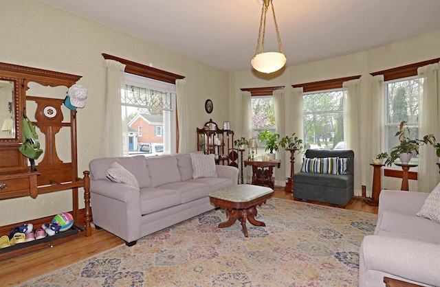 301 Van Buren St, Sauk City, WI 53583 - living area with a healthy amount of sunlight and wood finished floors