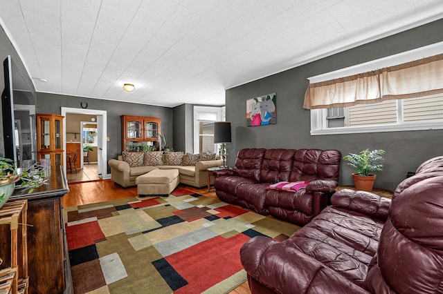 living room with wood finished floors