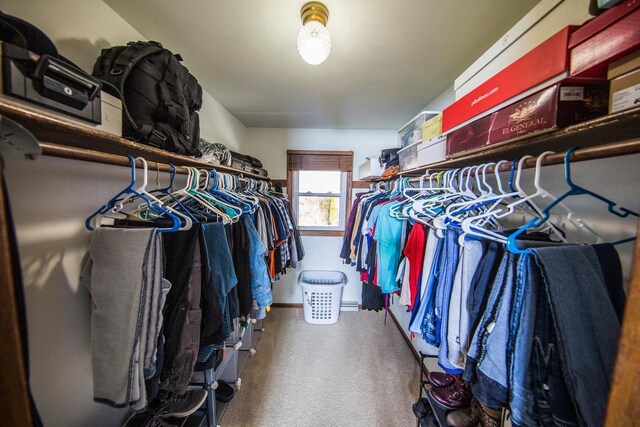 2607 King James Way, Fitchburg, WI 53719 - walk in closet featuring carpet flooring