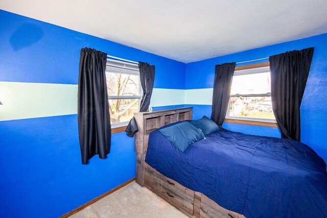 2607 King James Way, Fitchburg, WI 53719 - bedroom featuring carpet floors